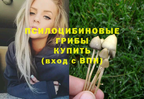 таблы Алексин