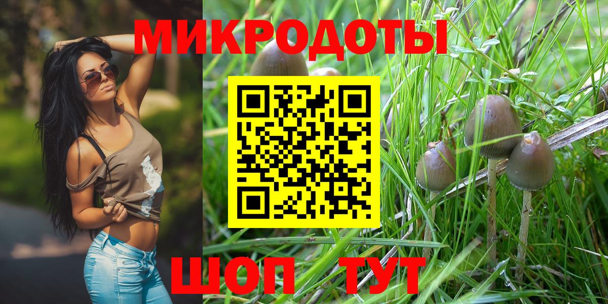 Псилоцибиновые грибы Cubensis Урюпинск