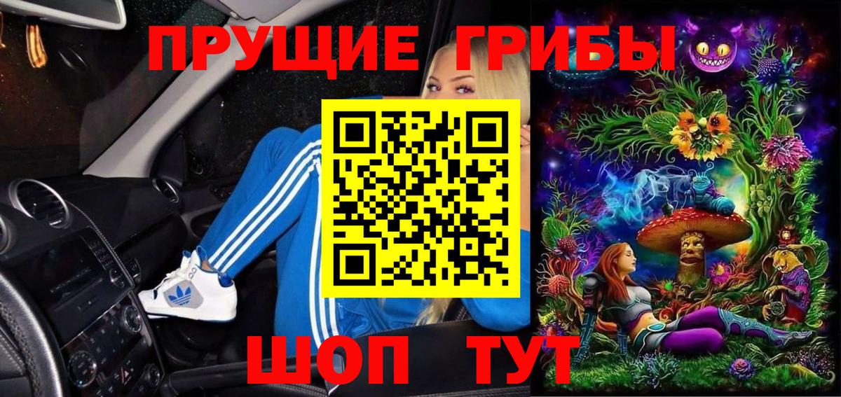 Урюпинск  Псилоцибиновые грибы Cubensis  Вход с VPN 